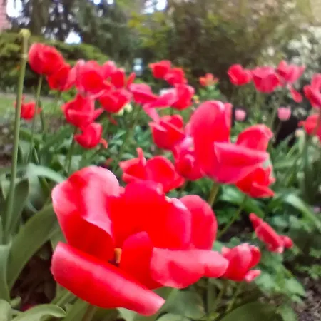 Bischou, Soyez Chez Vous ! Apartament *