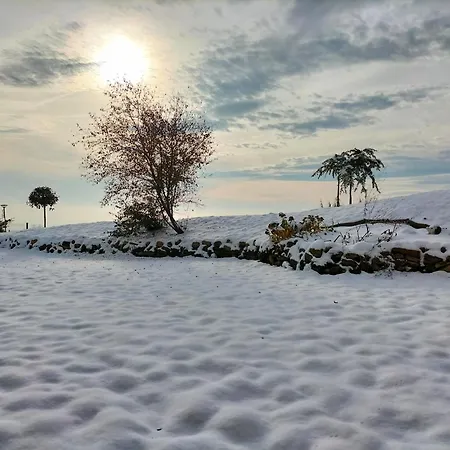 Apartament Bischou, Soyez Chez Vous ! Bischoffsheim